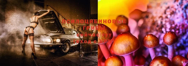 mix Богданович