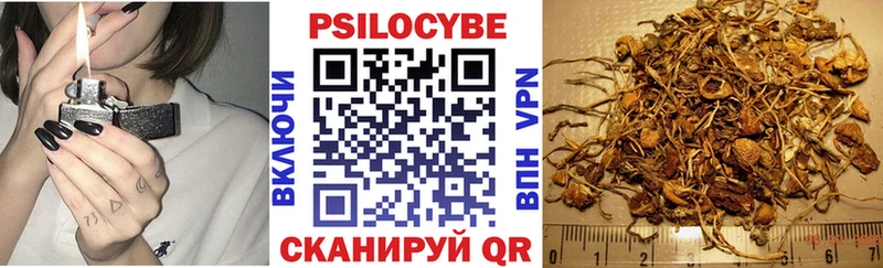 Псилоцибиновые грибы Cubensis  Мурманск 